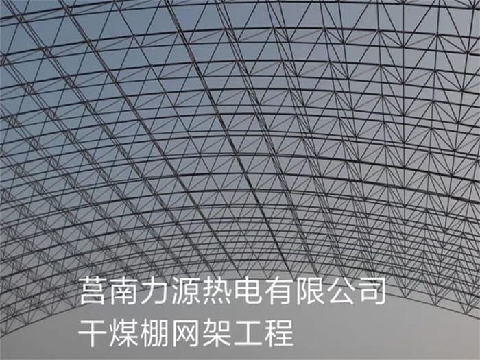 大兴力源热电有限公司干煤棚网架工程